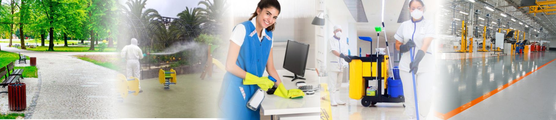 servicios